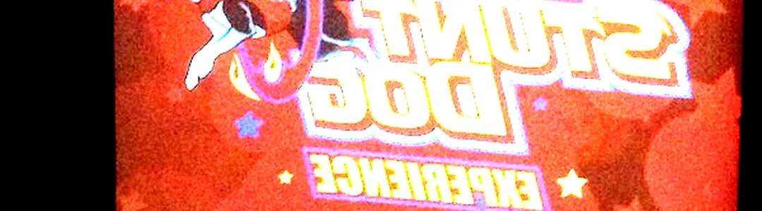 Chris Perondi's Stunt Dog Experience