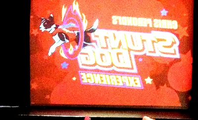 Chris Perondi's Stunt Dog Experience