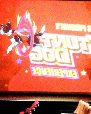 Chris Perondi's Stunt Dog Experience Hartford