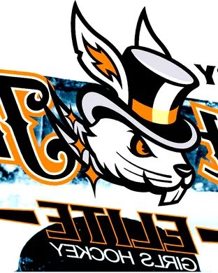 Danbury Hat Tricks vs. Watertown Wolves