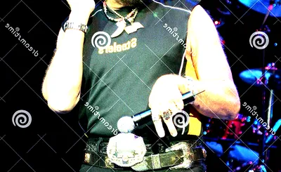 Hank Williams Jr.
