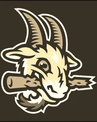 Hartford Yard Goats vs. Erie Seawolves