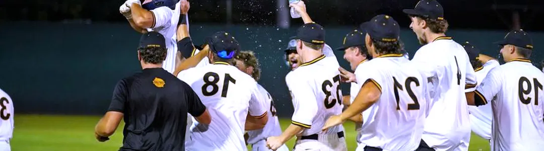 New Britain Bees