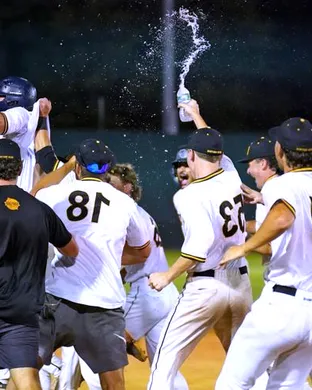 New Britain Bees vs. Norwich Sea Unicorns sports event