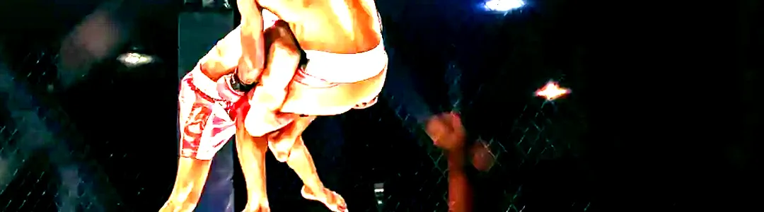 PFL - Professional Fighters League