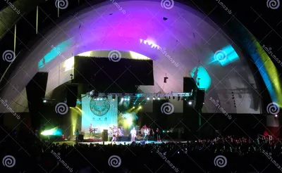 Soja