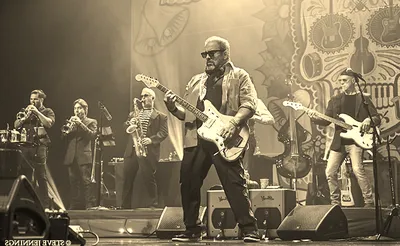 The Mavericks