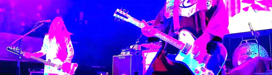 The Melvins