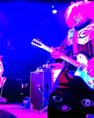 The Melvins