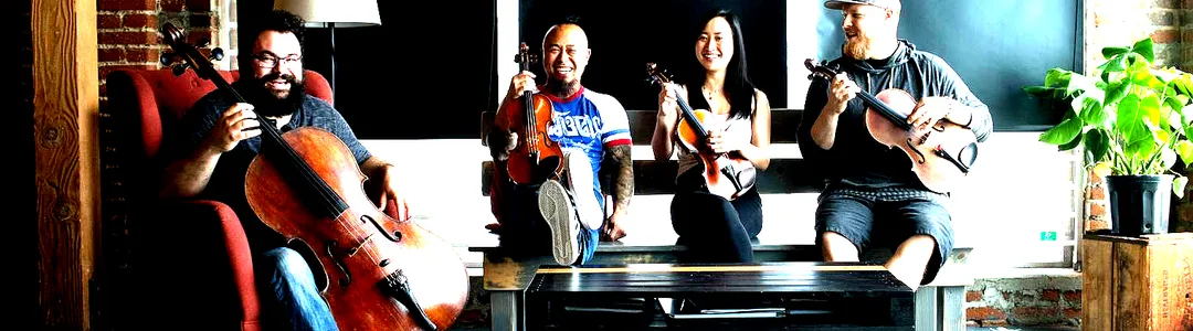 Vitamin String Quartet
