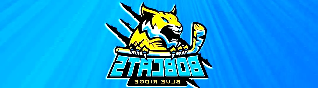 Blue Ridge Bobcats