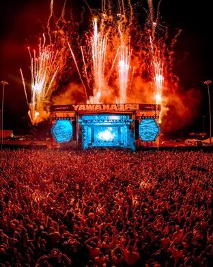Zedd