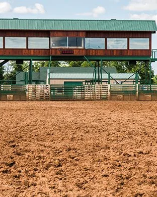 The New England 900 and Burnout Rivals