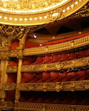 Taconic Opera: Beethoven Symphony No. 9